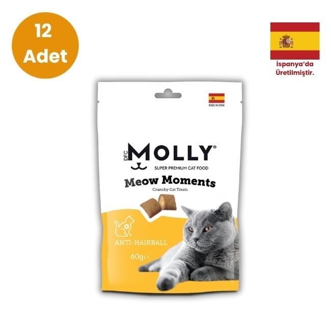 MOLLY MEOW MOMENTS TÜY YUMAĞI KONTROLÜ KEDİ ÖDÜL MAMASI 60 GR