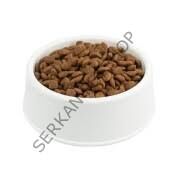 MOLLY MİNİ IRK PUPPY SOMON ETLİ YAVRU KÖPEK MAMASI 1 KG