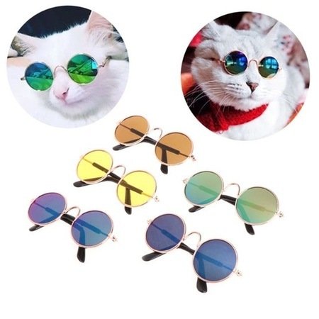 KEDİ-KÖPEK İÇİN GÖZLÜK