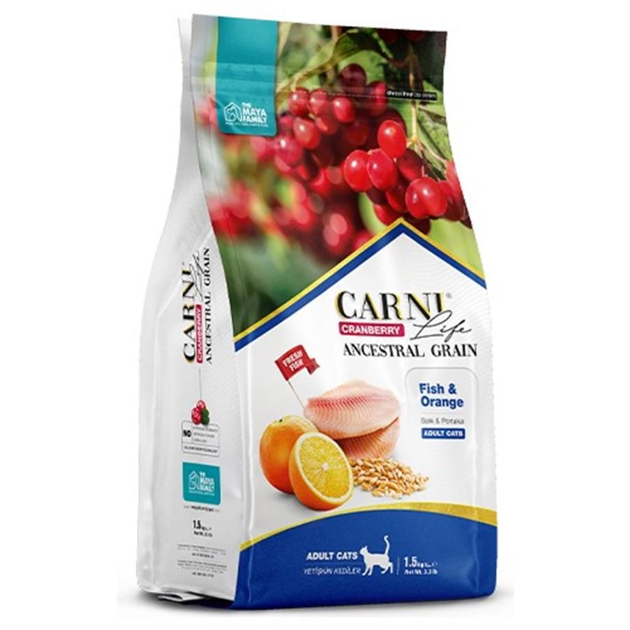 Carni Cat Adult Balık/Portakal Kedi Maması 10 KG