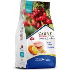 Carni Dog Puppy Mını  Balık/Portakal Köpek Maması 2.5 KG