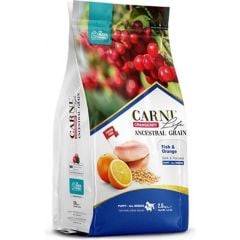 Carni Dog Puppy Bütün Irklar Balık/Portakal Köpek Maması 2.5 KG