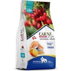 Carni Dog Adult Somon/Portakallı Med/Max Irk Köpek Maması 2.5 KG