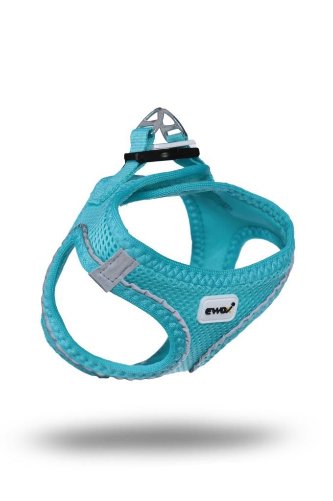 GLÖRY PET GÖĞÜS TASMASI 3 XS .2 XS .XS. S. M. L .XL 7 LI SET