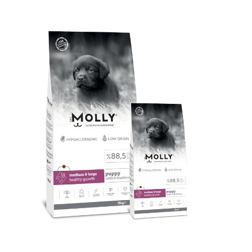 MOLLY YAVRU KUZULU YABAN MERSİNLİ  MEDİUM LARGE KÖPEK MAMASI 15 KG