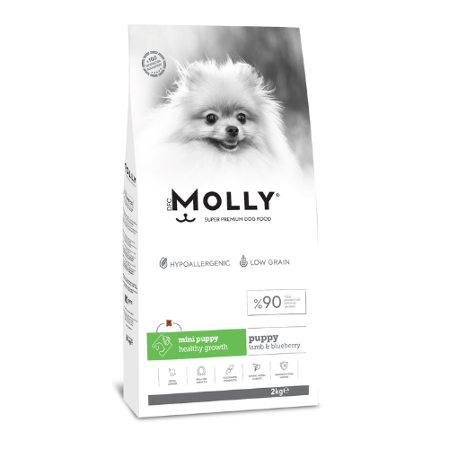 MOLLY MİNİ YAVRU KUZU ETLİ YABAN MERSİNLİ KÖPEK MAMASI 2 KG
